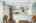 Blurred preview of media: 707 Whistler Dr_MLS (037 of 057)