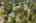 Blurred preview of media: Bonney Lake 6812 Aerial-8