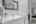 Blurred preview of media: IMG_3446