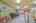 Blurred preview of media: IMG_8831_2_3