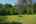 Blurred preview of media: DSC_2329