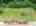 Blurred preview of media: 67 Quaker Lane Bolton Massachusetts Job 39838 0071