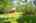 Blurred preview of media: 66 Woobly Road Bolton Massachusetts Job 39072 0006