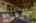 Blurred preview of media: DSC_3642