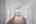 Blurred preview of media: DSC00893