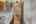 Blurred preview of media: 23
