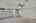 Blurred preview of media: DSC04253