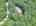 Blurred preview of media: DJI_20260702125717_0640_D_1_D_2_D_easyHDR