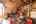 Blurred preview of media: DSC_0018