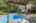 Blurred preview of media: Nerine_027