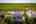Blurred preview of media: 426 S Highland Ave-181