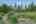 Blurred preview of media: NZ9_9578