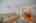 Blurred preview of media: 4376 (71 - 83)