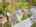 Blurred preview of media: DJI_0996