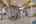 Blurred preview of media: 122-dekay-road-warwick-n-y-035