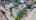 Blurred preview of media: DJI_20260603133732_0593_D