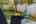 Blurred preview of media: 64