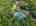 Blurred preview of media: 62-manor-square-sparta-nj-usa-drone-013