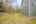 Blurred preview of media: PAX_0648