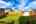 Blurred preview of media: 52