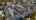 Blurred preview of media: 345-33