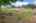 Blurred preview of media: 43