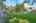 Blurred preview of media: NE Knott st (59)