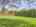 Blurred preview of media: IMG_0916