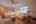 Blurred preview of media: IMG_1501_2_3