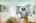 Blurred preview of media: IMG_8430 copy 2
