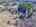Blurred preview of media: DJI_20260329110629_0122_D_3_D_4_D_easyHDR