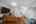 Blurred preview of media: DSC08916