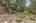 Blurred preview of media: 334 N Pine Meadows Rd - 56