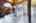 Blurred preview of media: iPixx_01_2