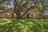 Blurred preview of media: 327 Deer Creek-102