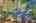 Blurred preview of media: IMG_6467_8_9_easyHDR