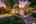 Blurred preview of media: 01