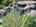 Blurred preview of media: IMG_8944