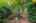 Blurred preview of media: 27