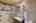 Blurred preview of media: iPixx_01_38