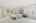Blurred preview of media: 2bobwhite_060