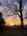Blurred preview of media: IMG_2811