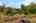 Blurred preview of media: 1-3