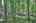Blurred preview of media: IMG_4622_3_4_easyHDR