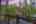 Blurred preview of media: 229 Highlands Drive , Breckenridge, Colorado, 80424 - Web-35