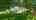 Blurred preview of media: 19625 Callaway Hills Ln-85