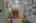 Blurred preview of media: IMG_5609_10_11