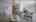 Blurred preview of media: IMG_8796