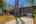 Blurred preview of media: IMG_0329.1