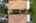 Blurred preview of media: iPixx_10_44_Copy